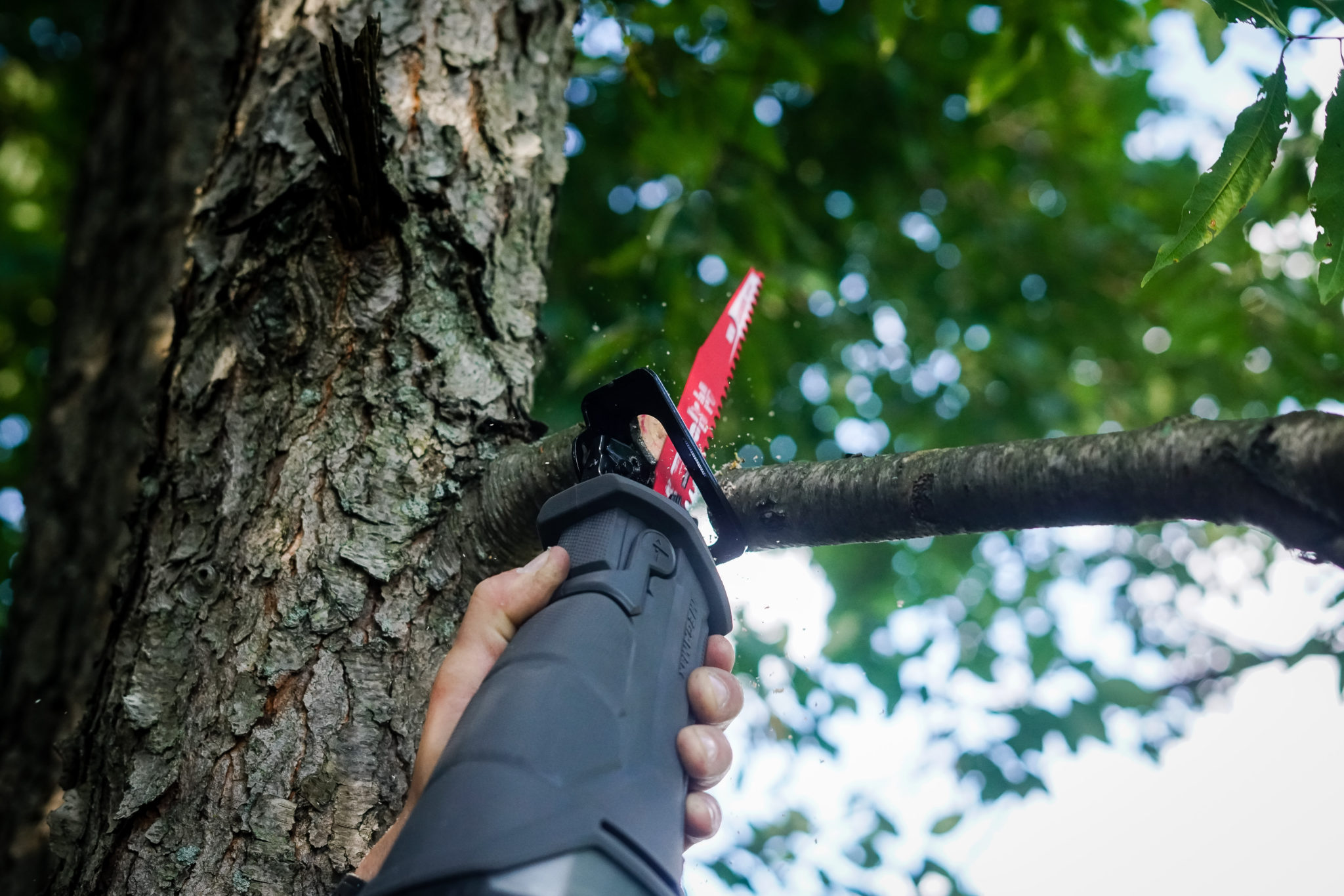 Diablo 9 in. Carbide Pruning -11